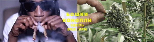 спиды Лагань