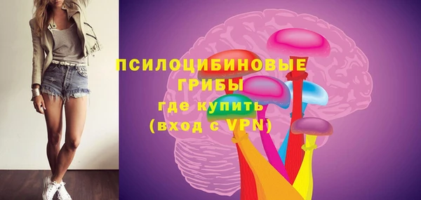 2c-b Ладушкин