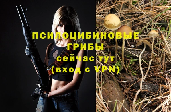2c-b Ладушкин
