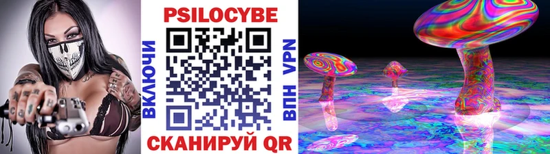 Псилоцибиновые грибы Magic Shrooms  shop телеграм  Фатеж 