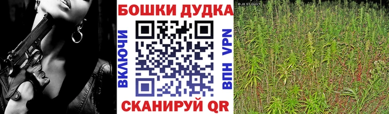 Канабис сатива  Фатеж 
